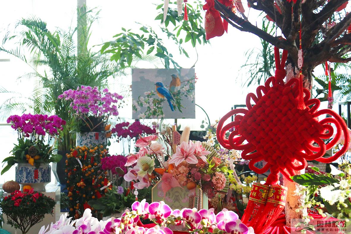 电竞比赛押注app