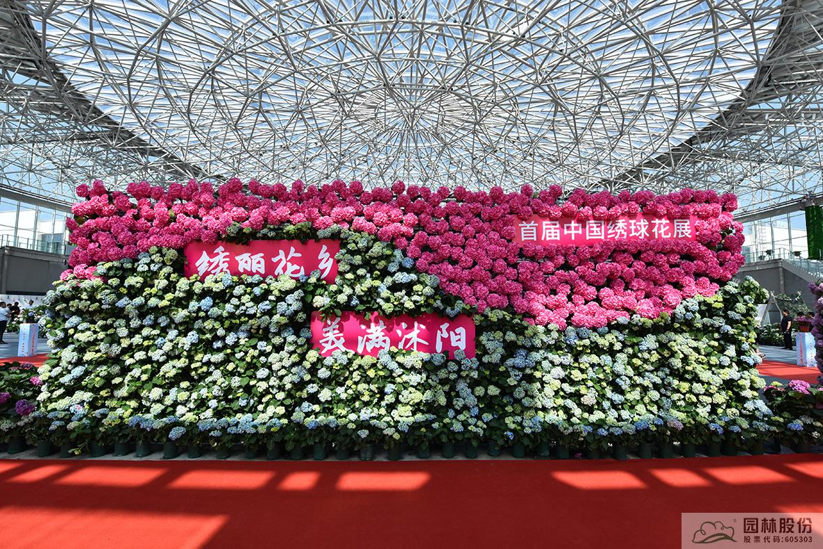 电竞比赛押注app