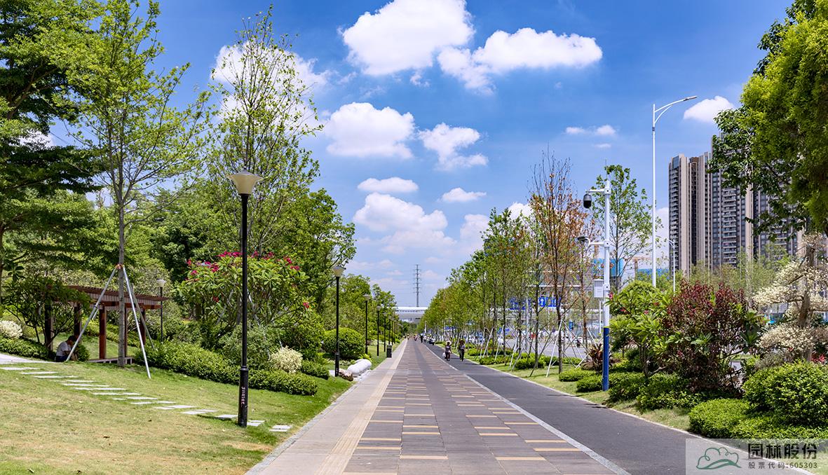 电竞比赛押注app