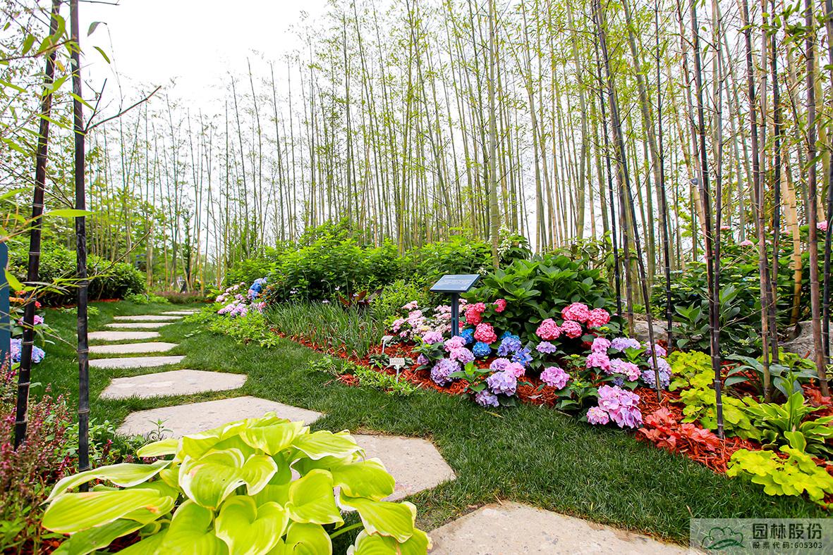 电竞比赛押注app