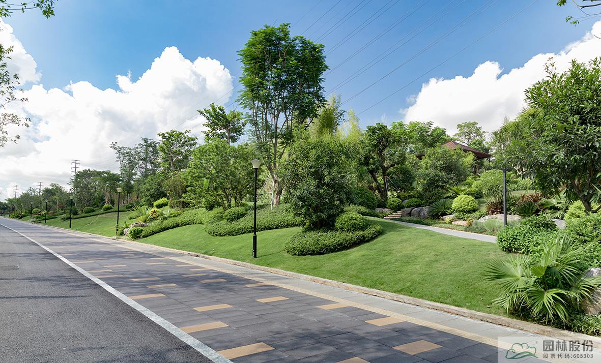 电竞比赛押注app