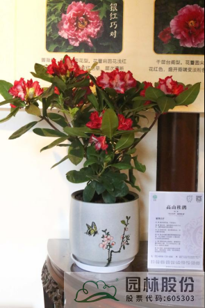 电竞比赛押注app