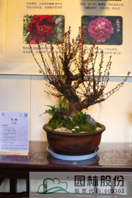 电竞比赛押注app