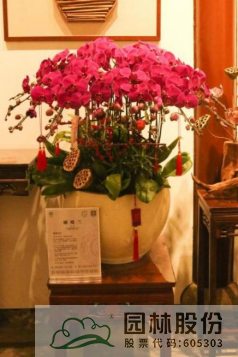 电竞比赛押注app