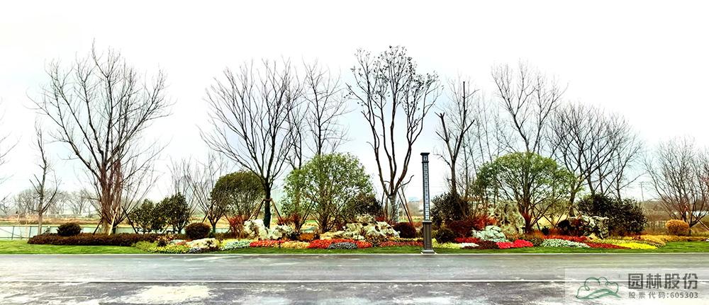 电竞比赛押注app