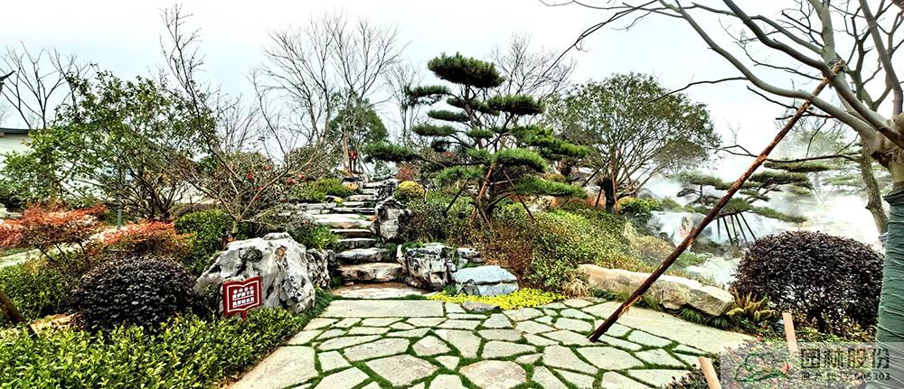 电竞比赛押注app