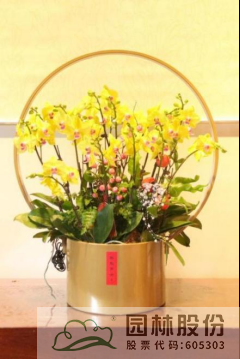 电竞比赛押注app