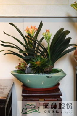 电竞比赛押注app