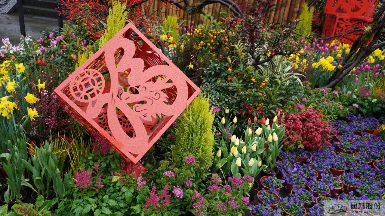 电竞比赛押注app