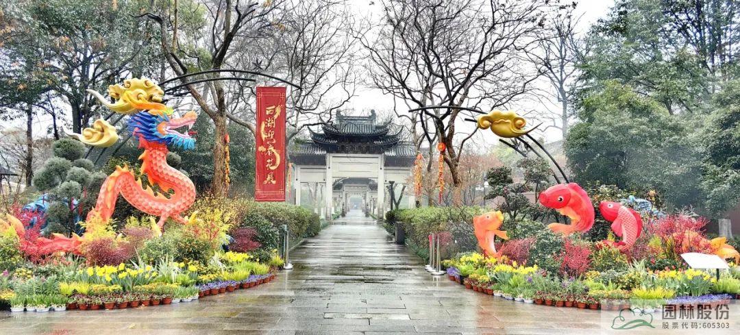 电竞比赛押注app