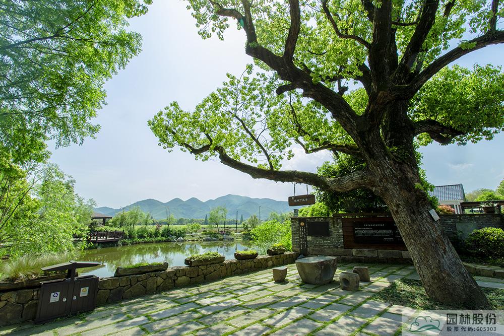 电竞比赛押注app