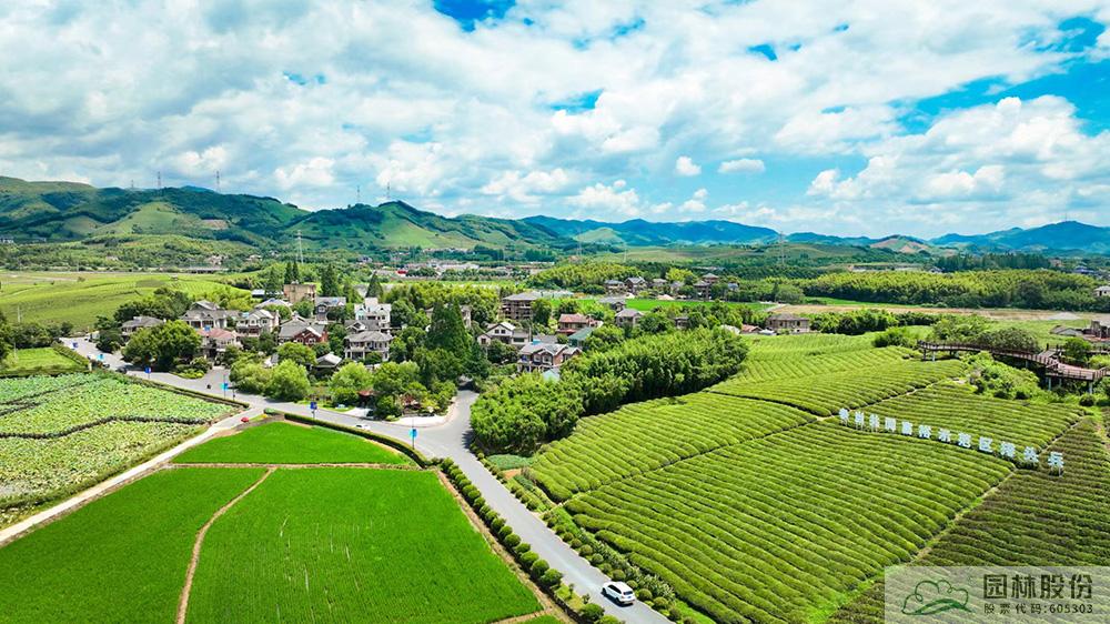 电竞比赛押注app