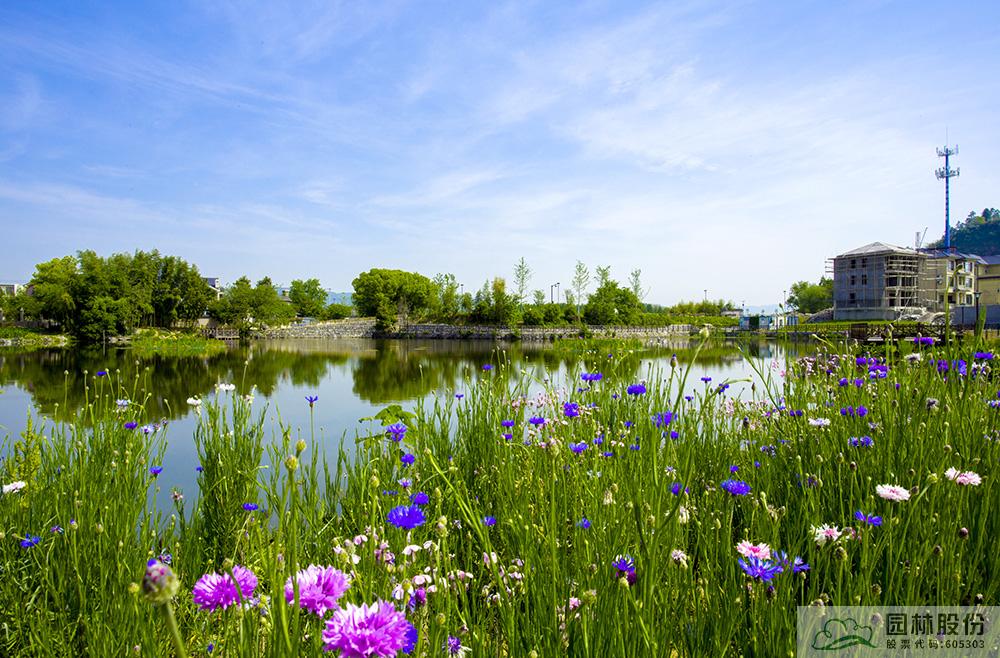 电竞比赛押注app