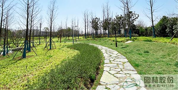 电竞比赛押注app