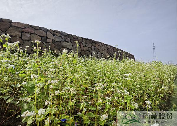 电竞比赛押注app