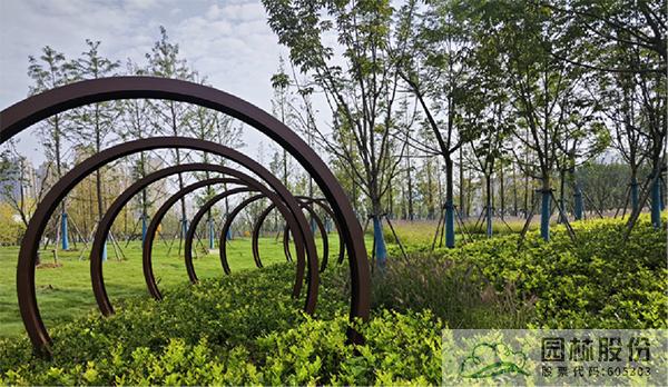 电竞比赛押注app