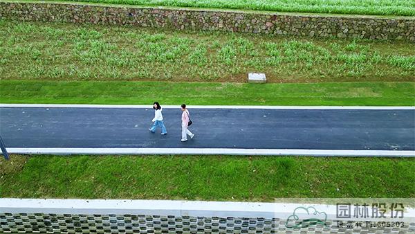 电竞比赛押注app