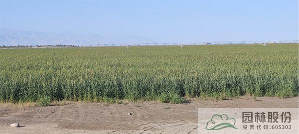 电竞比赛押注app