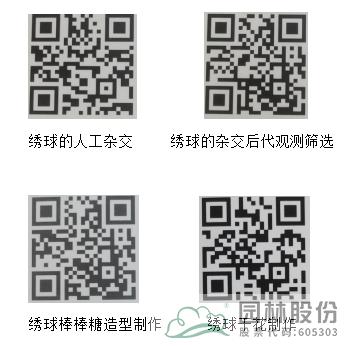 电竞比赛押注app