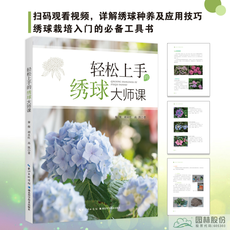 电竞比赛押注app