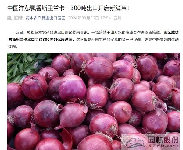 电竞比赛押注app