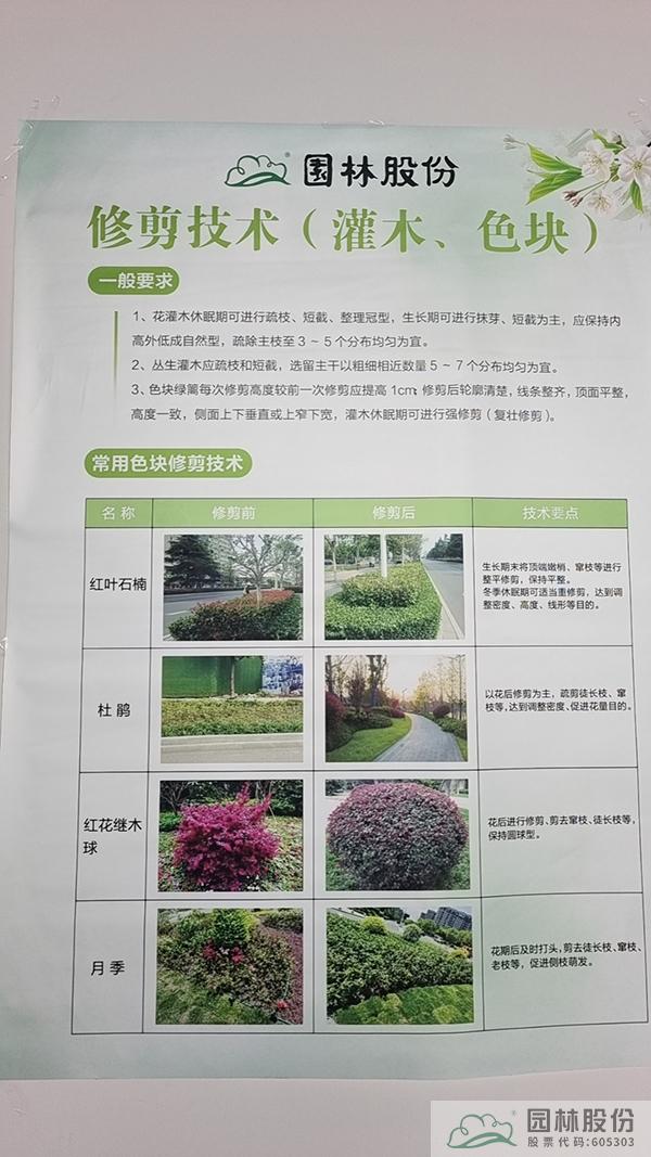 电竞比赛押注app