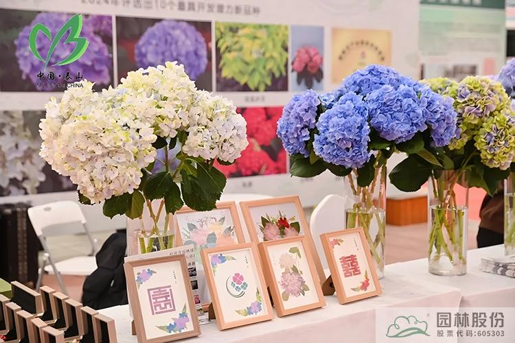 电竞比赛押注app