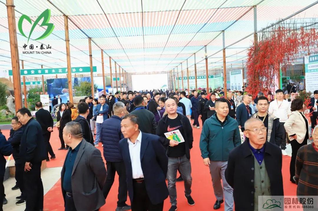 电竞比赛押注app