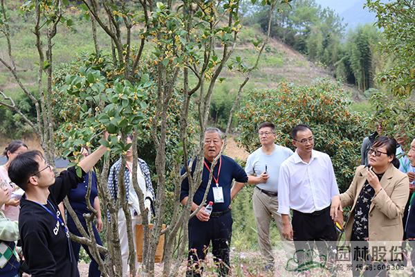 电竞比赛押注app