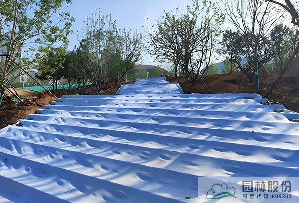 电竞比赛押注app