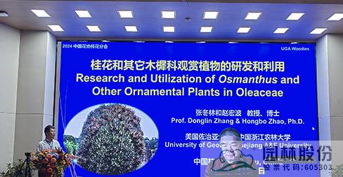 电竞比赛押注app