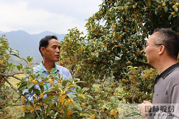 电竞比赛押注app