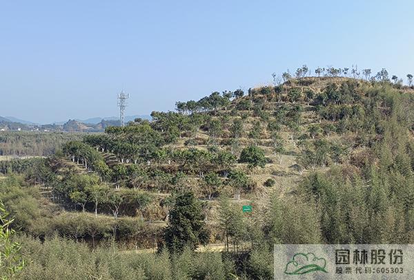 电竞比赛押注app