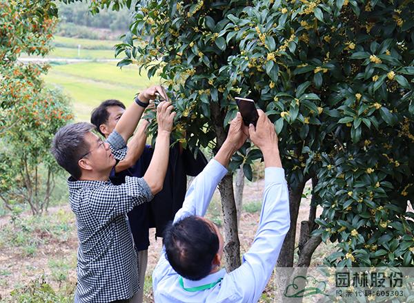 电竞比赛押注app