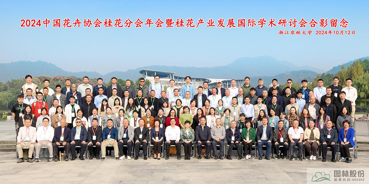 电竞比赛押注app