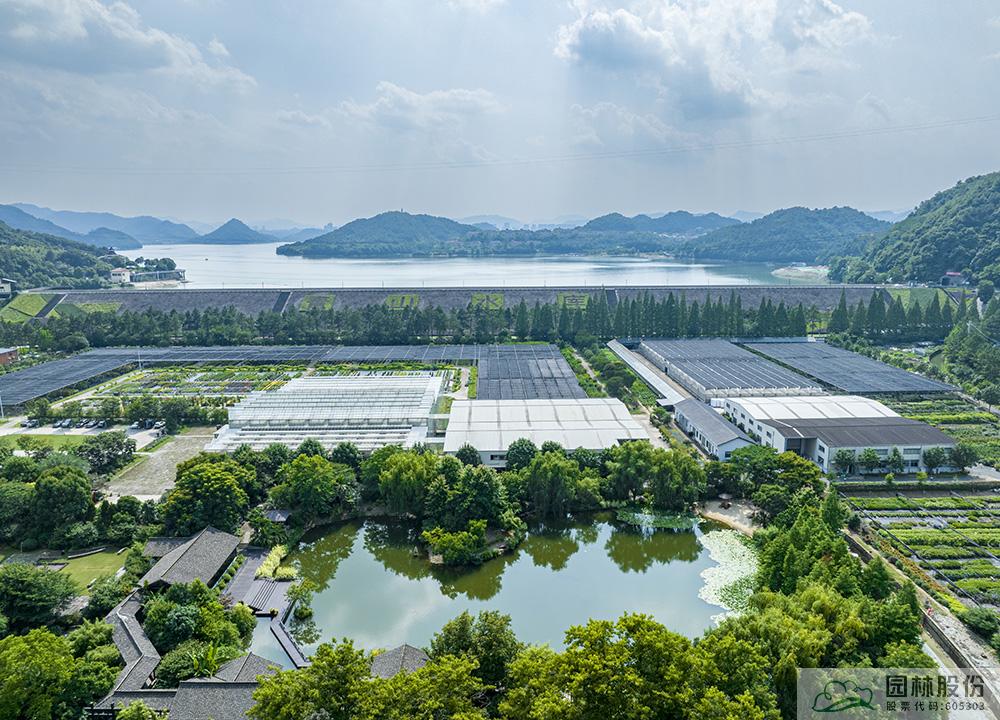 电竞比赛押注app