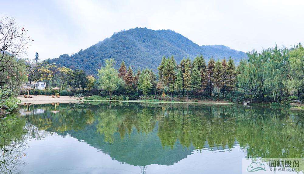 电竞比赛押注app