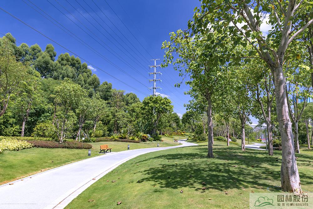 电竞比赛押注app