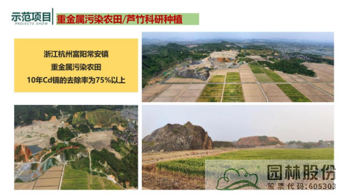 电竞比赛押注app