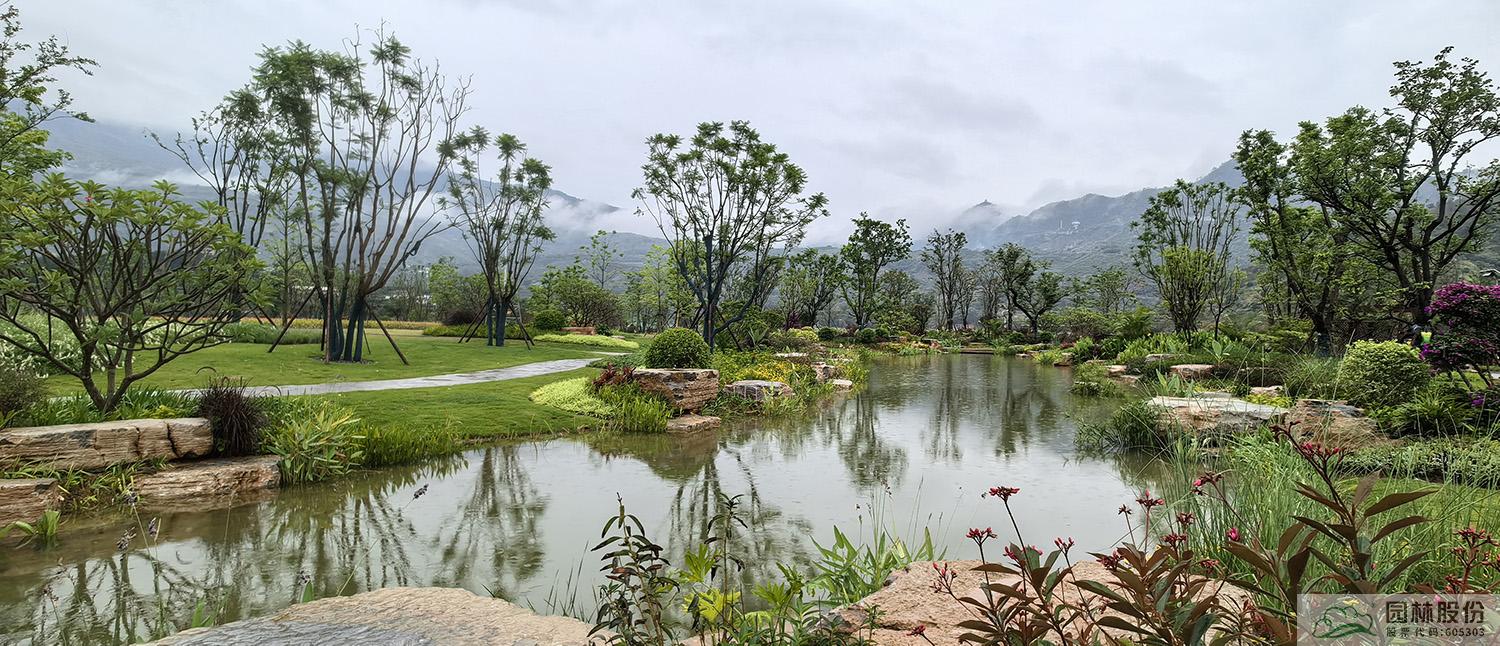 电竞比赛押注app