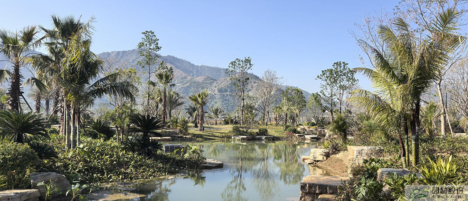 电竞比赛押注app