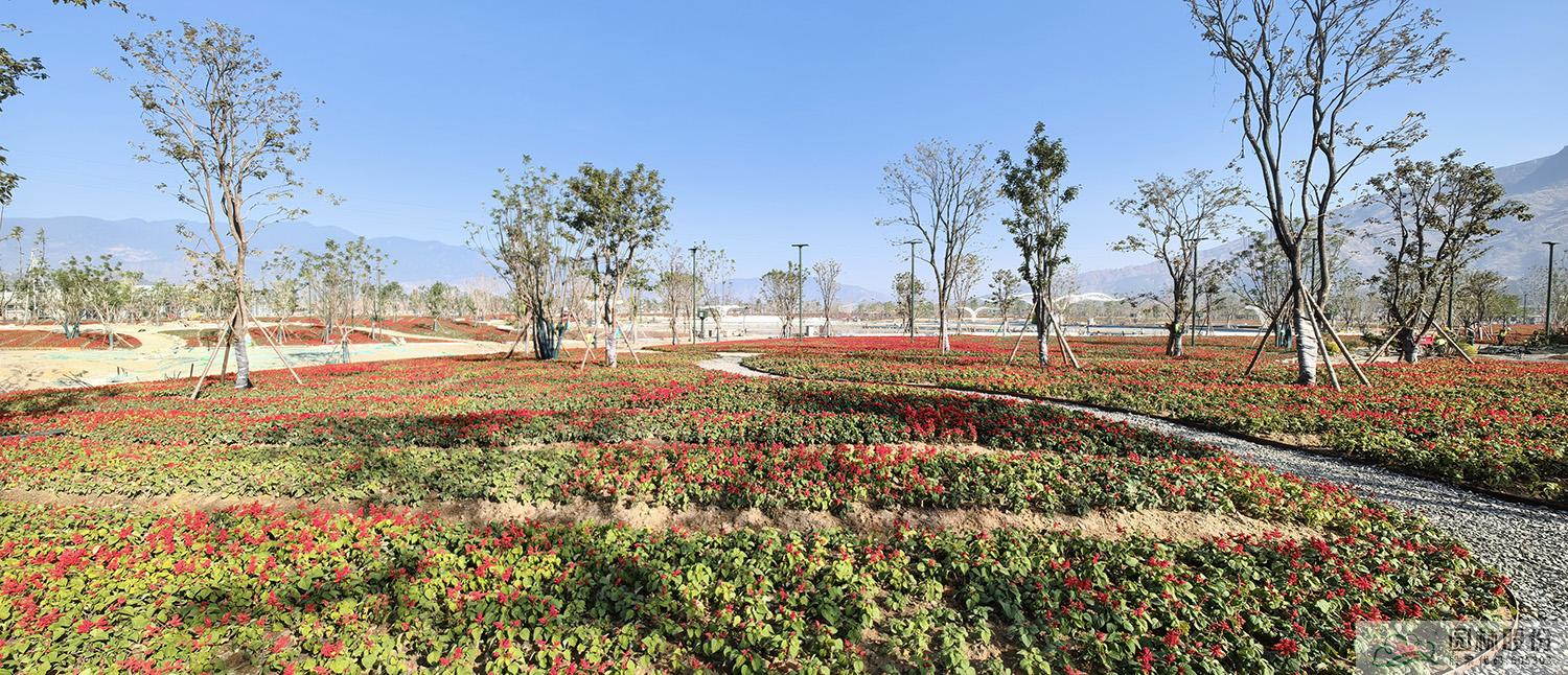 电竞比赛押注app