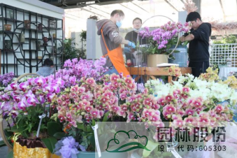 电竞比赛押注app