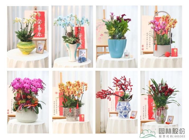 电竞比赛押注app