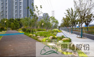 电竞比赛押注app