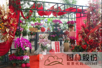 电竞比赛押注app