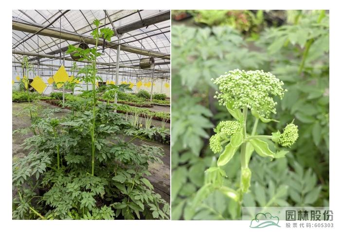 电竞比赛押注app