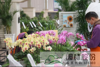 电竞比赛押注app