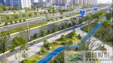 电竞比赛押注app