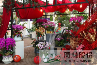 电竞比赛押注app